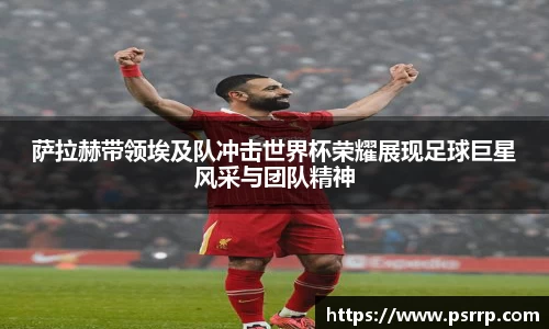 球速体育官网