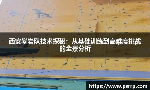 球速体育