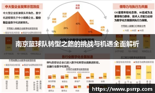 南京篮球队转型之路的挑战与机遇全面解析